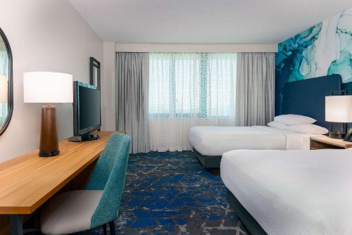 Embassy Suites Tampa - USF / Busch Gardens - image 21