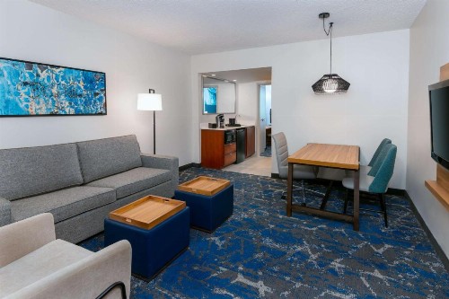 Embassy Suites Tampa - USF / Busch Gardens - image 22