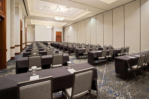 Embassy Suites Tampa - USF / Busch Gardens - image 24