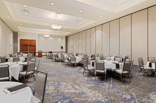 Embassy Suites Tampa - USF / Busch Gardens - image 27