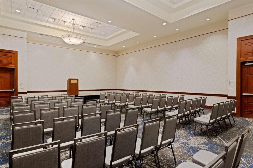 Embassy Suites Tampa - USF / Busch Gardens - image 29