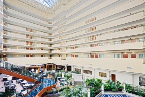 Embassy Suites Tampa - USF / Busch Gardens - image 3