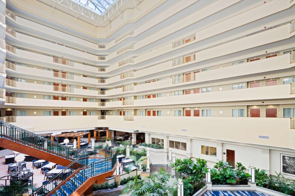 Embassy Suites Tampa - USF / Busch Gardens - image 3