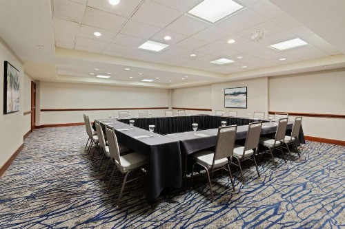 Embassy Suites Tampa - USF / Busch Gardens - image 32