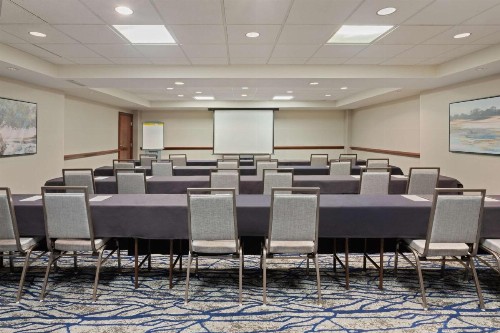 Embassy Suites Tampa - USF / Busch Gardens - image 33