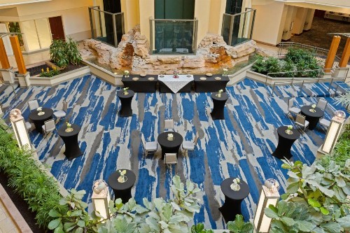 Embassy Suites Tampa - USF / Busch Gardens - image 34