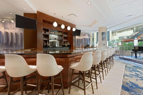 Embassy Suites Tampa - USF / Busch Gardens - image 36