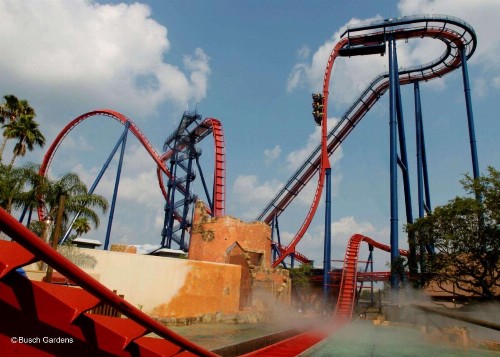 Embassy Suites Tampa - USF / Busch Gardens - image 37