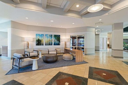 Embassy Suites Tampa - USF / Busch Gardens - image 4