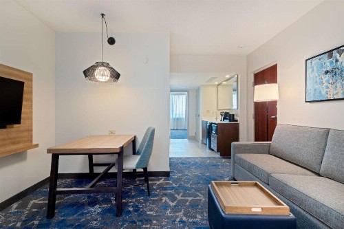 Embassy Suites Tampa - USF / Busch Gardens - image 40