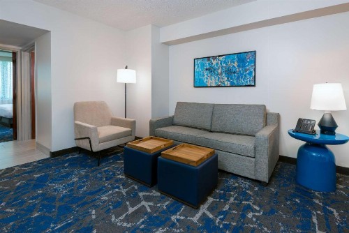 Embassy Suites Tampa - USF / Busch Gardens - image 46