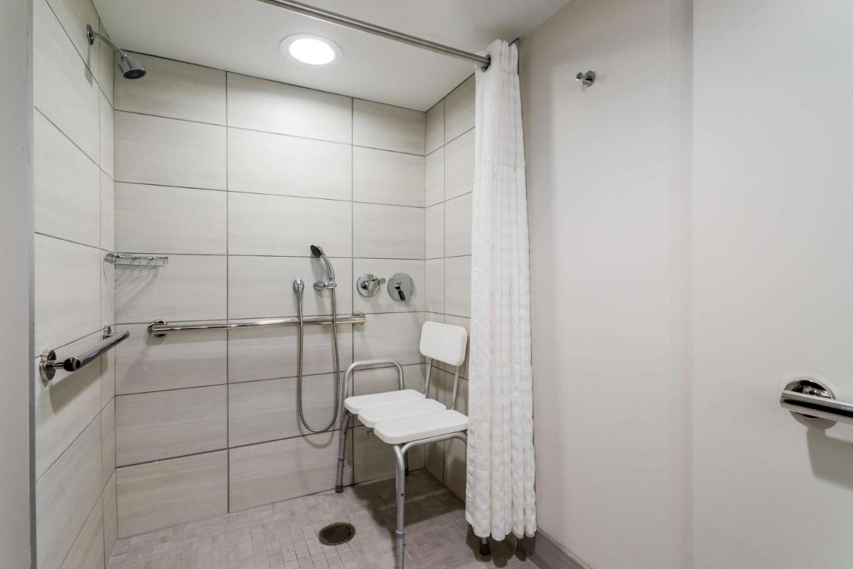 Embassy Suites Tampa - USF / Busch Gardens - image 6