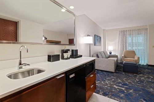 Embassy Suites Tampa - USF / Busch Gardens - image 9