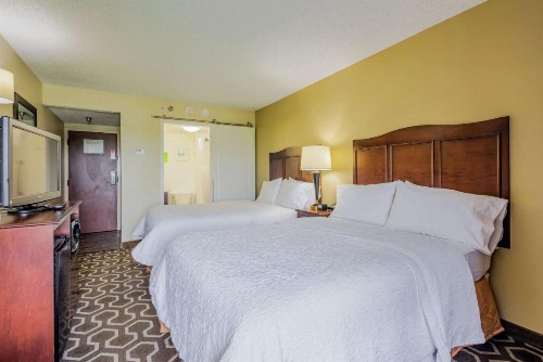 Hampton Inn Tampa International Airport/Westshore - image 29