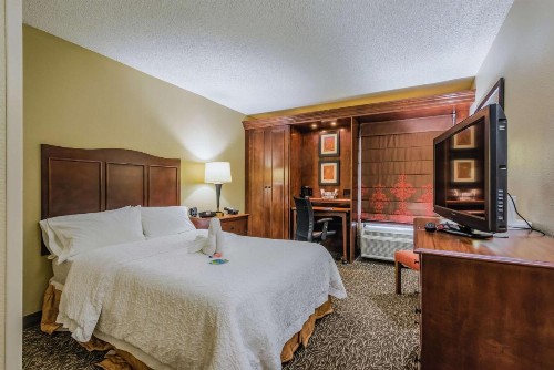 Hampton Inn Tampa International Airport/Westshore - image 34