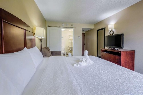 Hampton Inn Tampa International Airport/Westshore - image 39
