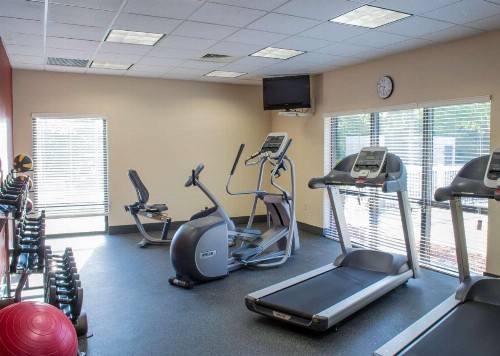 Hampton Inn Tampa-Veterans Expressway - image 13