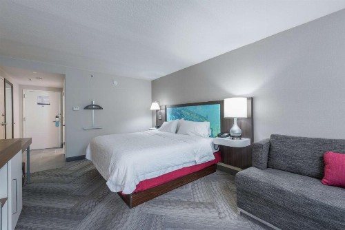 Hampton Inn Tampa-Veterans Expressway - image 15