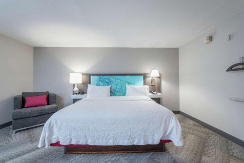 Hampton Inn Tampa-Veterans Expressway - image 16