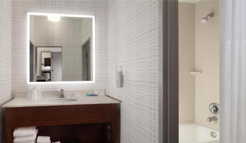Hampton Inn & Suites Tampa-North - image 25