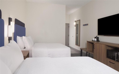 Hampton Inn & Suites Tampa-North - image 27