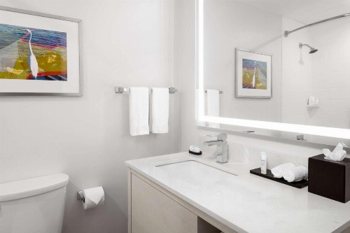 Embassy Suites by Hilton Tampa Airport Westshore - image 27