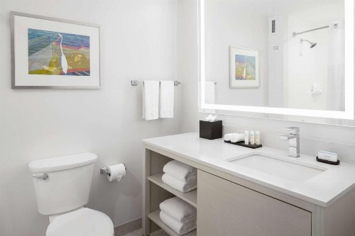 Embassy Suites by Hilton Tampa Airport Westshore - image 32