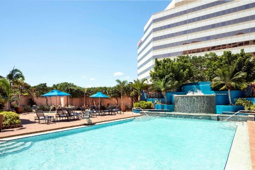 Embassy Suites by Hilton Tampa Airport Westshore - image 4