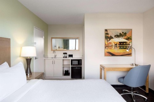 Embassy Suites by Hilton Tampa Airport Westshore - image 44