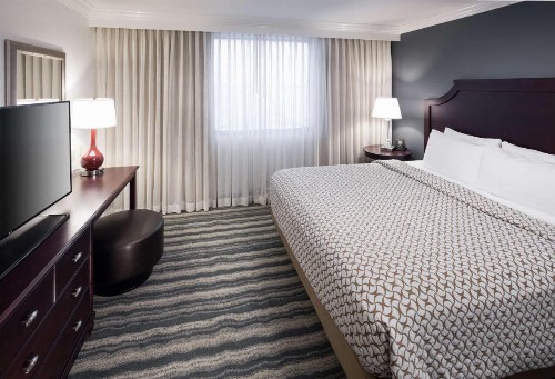 Embassy Suites Tampa - Brandon - image 12