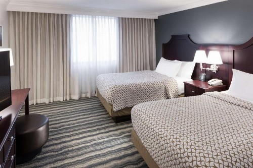 Embassy Suites Tampa - Brandon - image 14