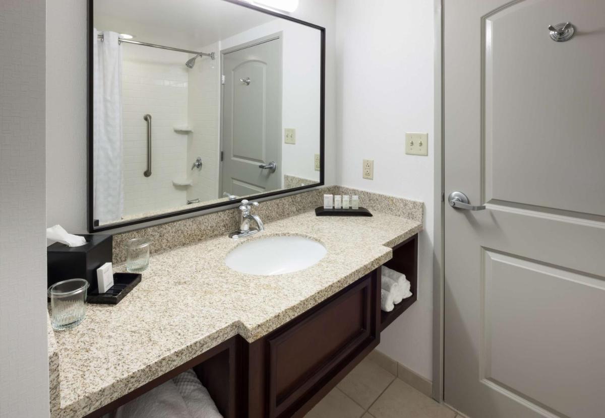 Embassy Suites Tampa - Brandon - image 6