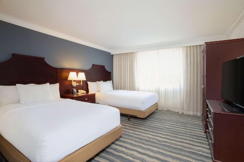 Embassy Suites Tampa - Brandon - image 7