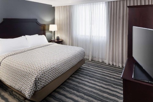 Embassy Suites Tampa - Brandon - image 9