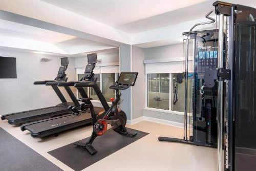 Homewood Suites by Hilton Tampa Airport - Westshore - image 13