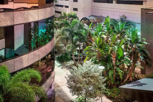The Westshore Grand A Tribute Portfolio Hotel Tampa - image 27