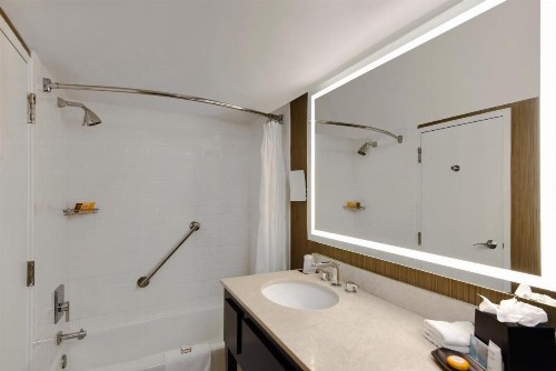 Sheraton Tampa Riverwalk Hotel - image 4