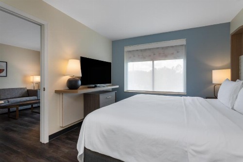 Holiday Inn Tampa North - image 2