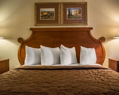 Rodeway Inn Tampa Ybor City - image 10