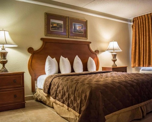 Rodeway Inn Tampa Ybor City - image 11
