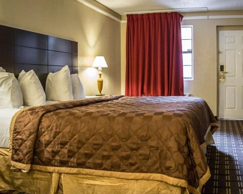 Rodeway Inn Tampa Ybor City - image 13