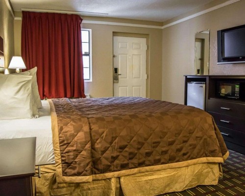 Rodeway Inn Tampa Ybor City - image 17