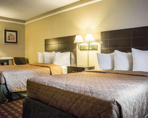 Rodeway Inn Tampa Ybor City - image 19