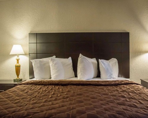 Rodeway Inn Tampa Ybor City - image 2