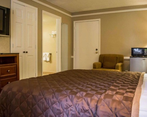 Rodeway Inn Tampa Ybor City - image 3