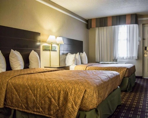 Rodeway Inn Tampa Ybor City - image 7