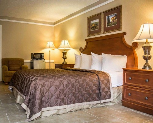 Rodeway Inn Tampa Ybor City - image 9