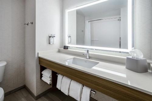 Holiday Inn Express and Suites Tampa I-75 at Bruce B. Downs an IHG Hotel - image 12
