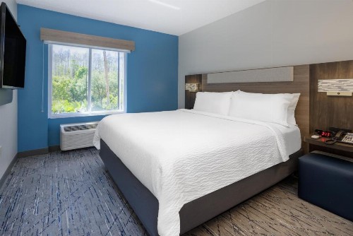 Holiday Inn Express and Suites Tampa I-75 at Bruce B. Downs an IHG Hotel - image 18