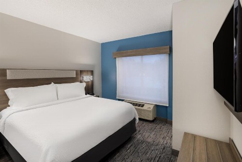 Holiday Inn Express and Suites Tampa I-75 at Bruce B. Downs an IHG Hotel - image 23